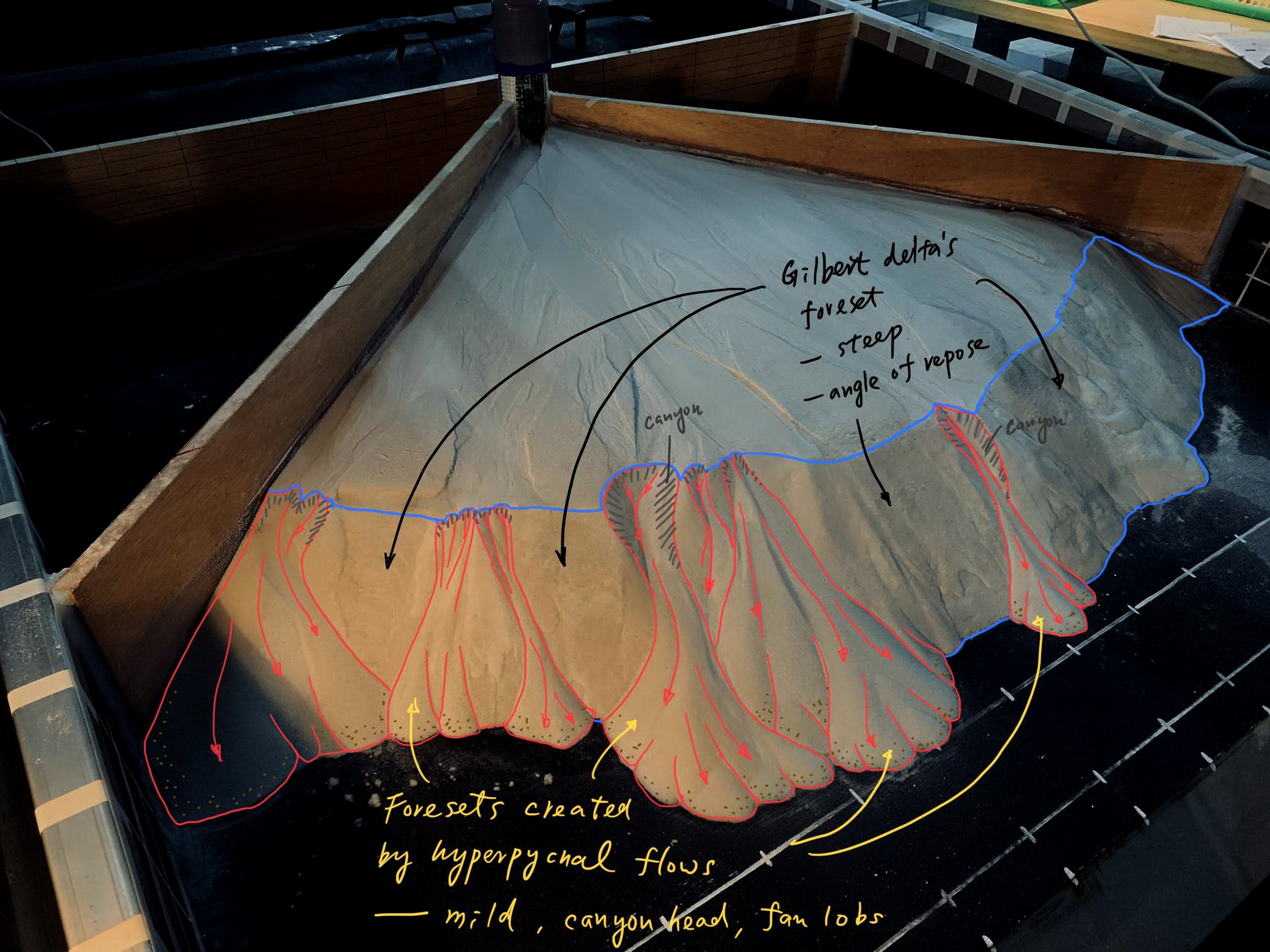 hyperpycnalDelta3D